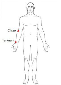 taiyuan and chize acupoints on the lung meridian