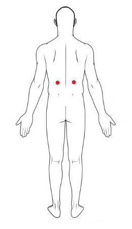TENS pads placement for kidneys