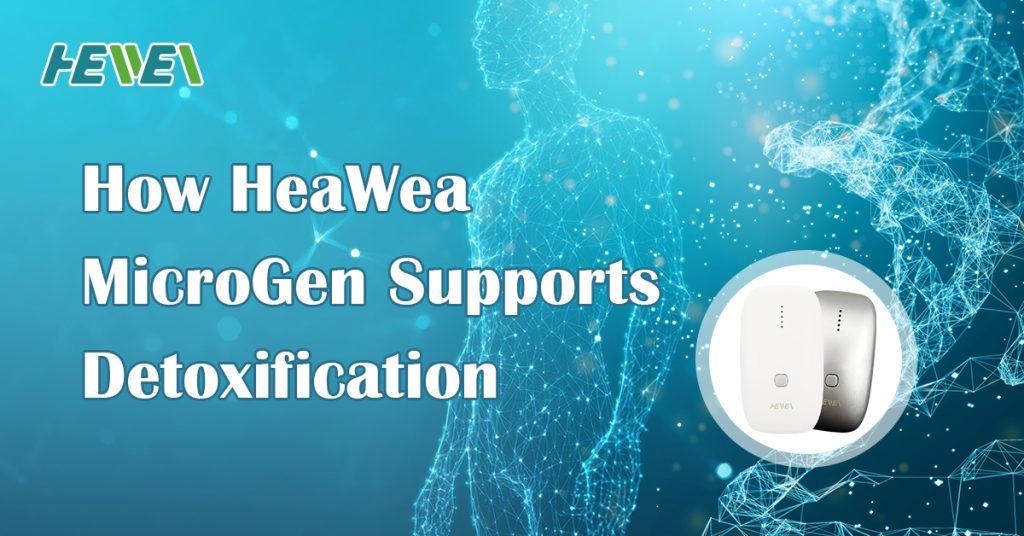 Heawea Detox Blog Banner