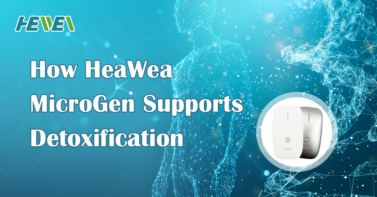 Heawea Detox Blog Banner