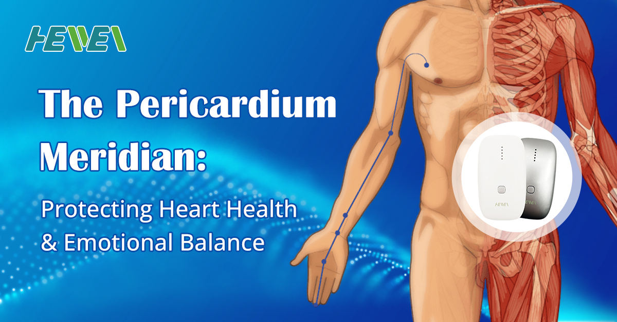The Pericardium Meridian Protecting Heart Health & Emotional Balance